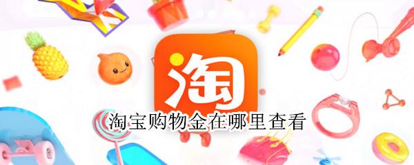 淘宝购物金在哪里查看(查看淘宝购物金的具体位置)