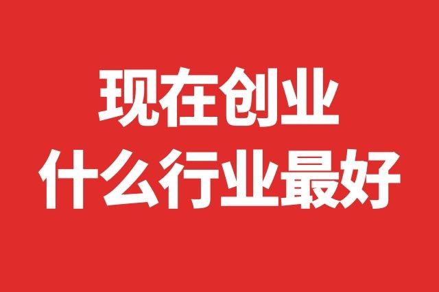 创业什么行业最赚钱（寻找高盈利的创业领域）