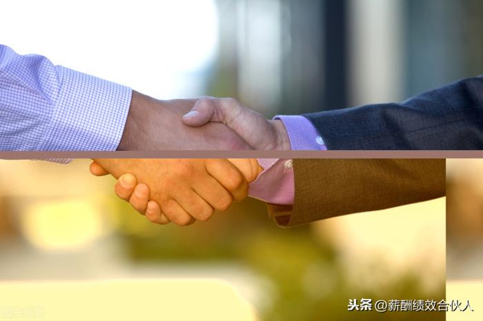 属虎和属蛇的适合做生意吗（哪个生肖更适合创业）
