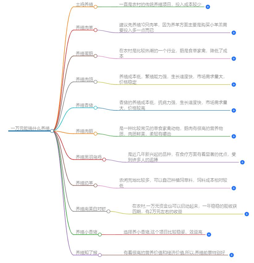 一万元能搞什么养殖？低成本养殖项目推荐