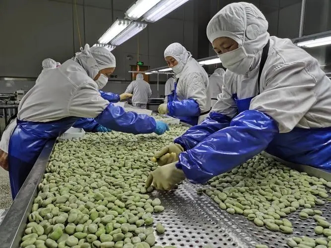 农副产品加工厂项目有哪些?热门与潜力项目推荐