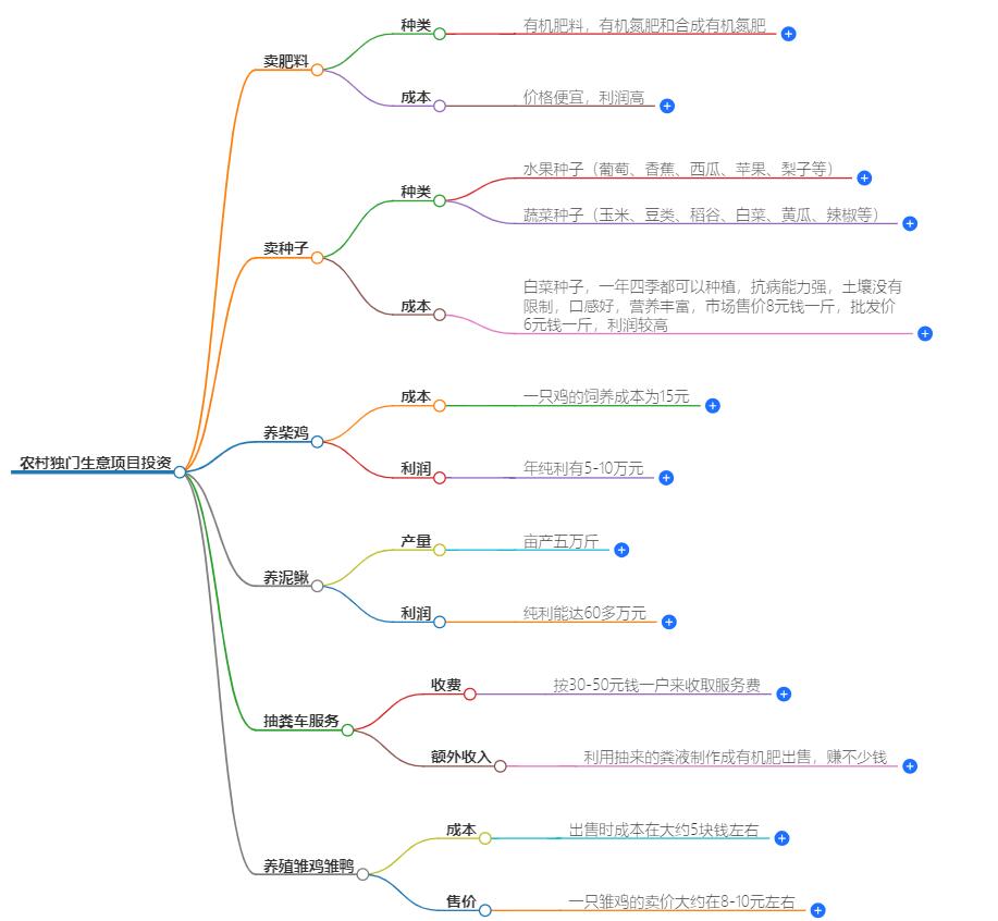 农村独门生意项目投资多少钱?全面解析