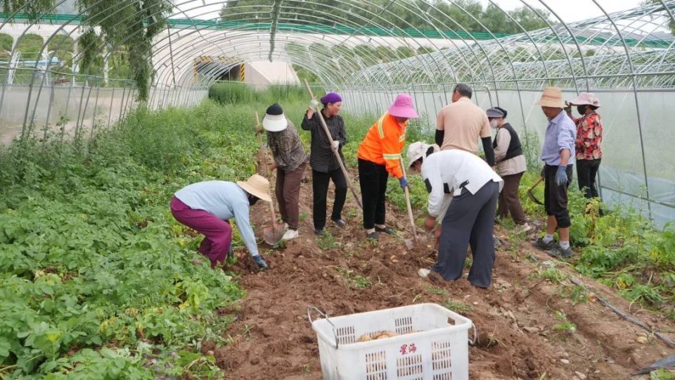 13个农村暴利小生意有哪些?揭秘农村致富新途径