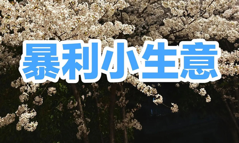 农村赚钱不起眼的暴利生意有哪些?有哪些潜力