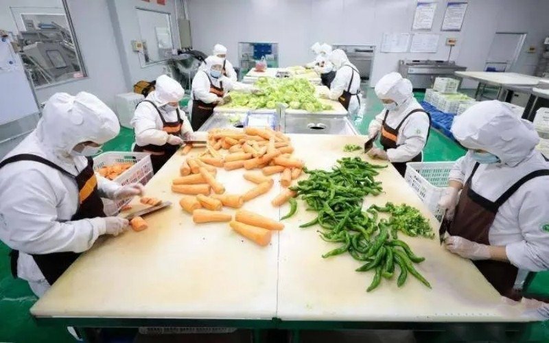 10万左右小加工厂做什么比较好?哪些项目利润高不愁销路