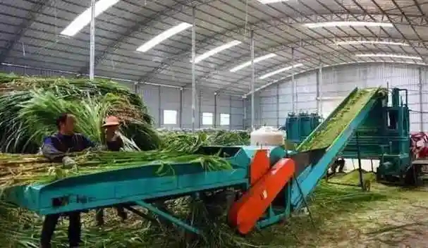 农村办厂是骗局吗?有哪些项目好