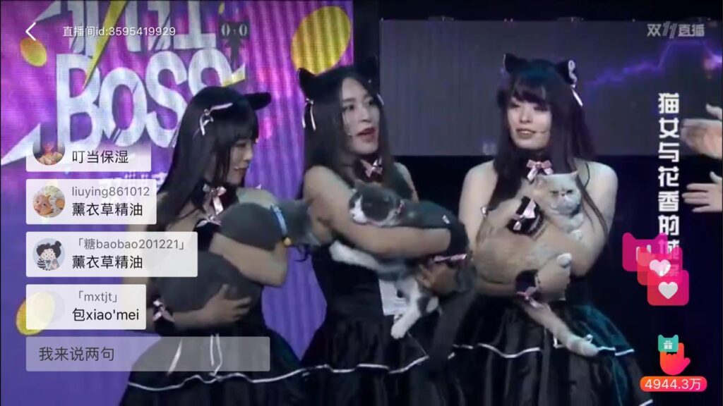天猫双十一晚会流程是什么（关于天猫平台规则）