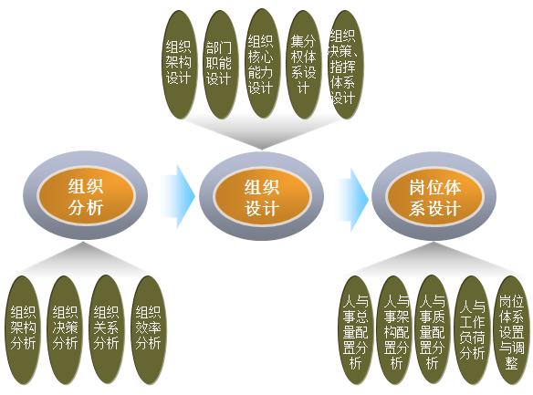 组织管理包括哪些内容(全面解析组织管理内容)